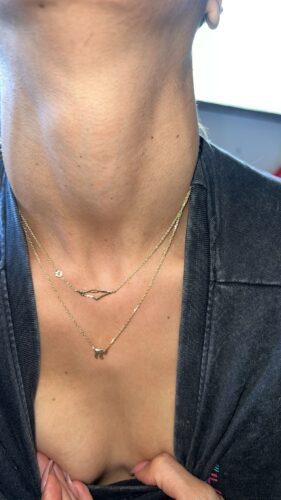 שרשרת מפת ארץ ישראל | מגן דוד photo review